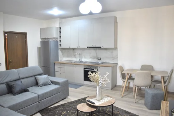 Shtepi me qera 1+1 ne Tirane - 60,000 Leke