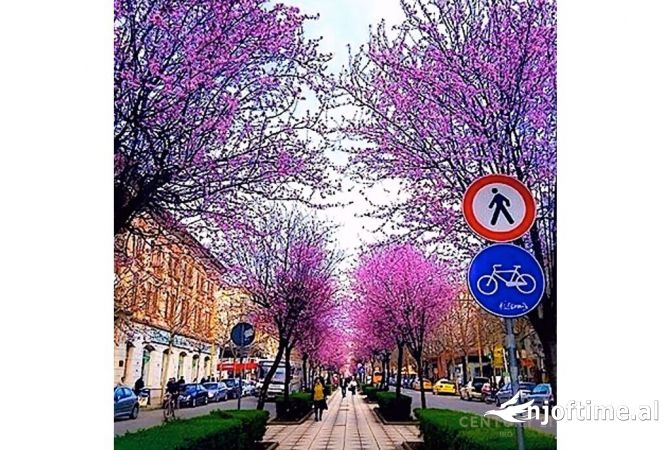 Ambiente Commerciale in Vendita 1+1 a Tirana - 2,365,000 Euro