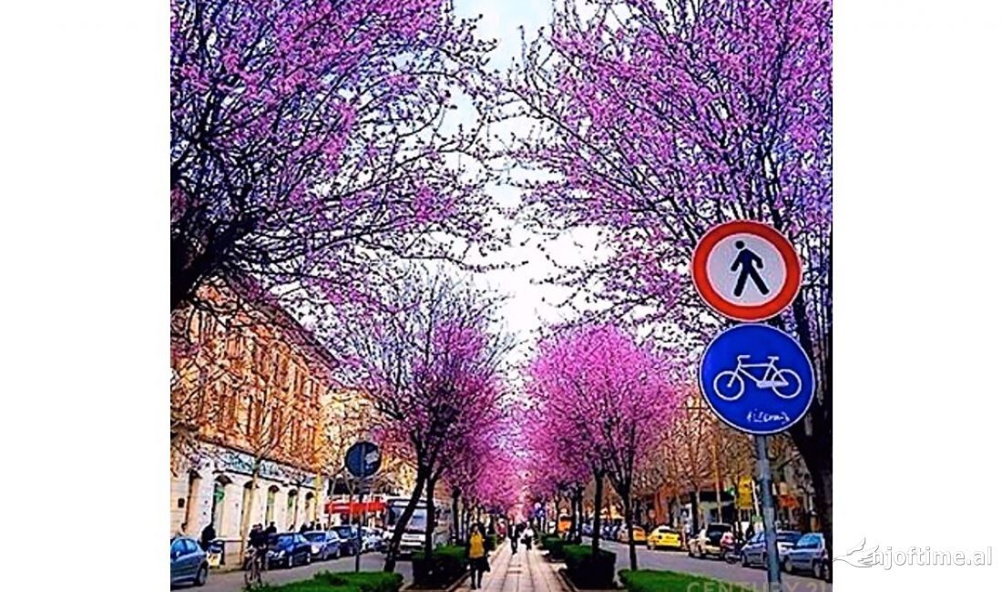 Rruges se Kavajes ,shesim ambient komercial !