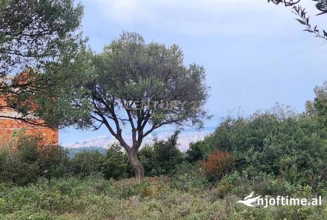 Land for Sale in Vlora - 450,000 Euro