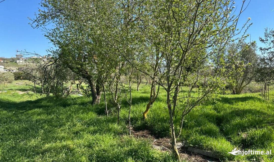 Toke Per Shitje ne Vore,