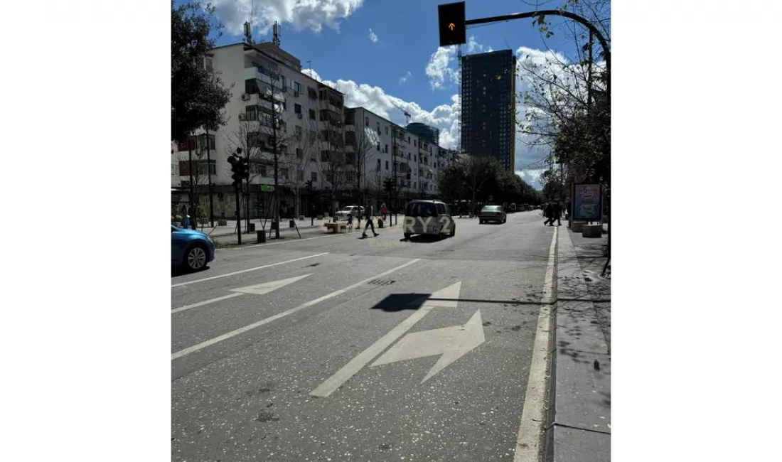 BULEVARDI ZOGU I PARE, AMBIENT KOMERCIAL PER QIRA