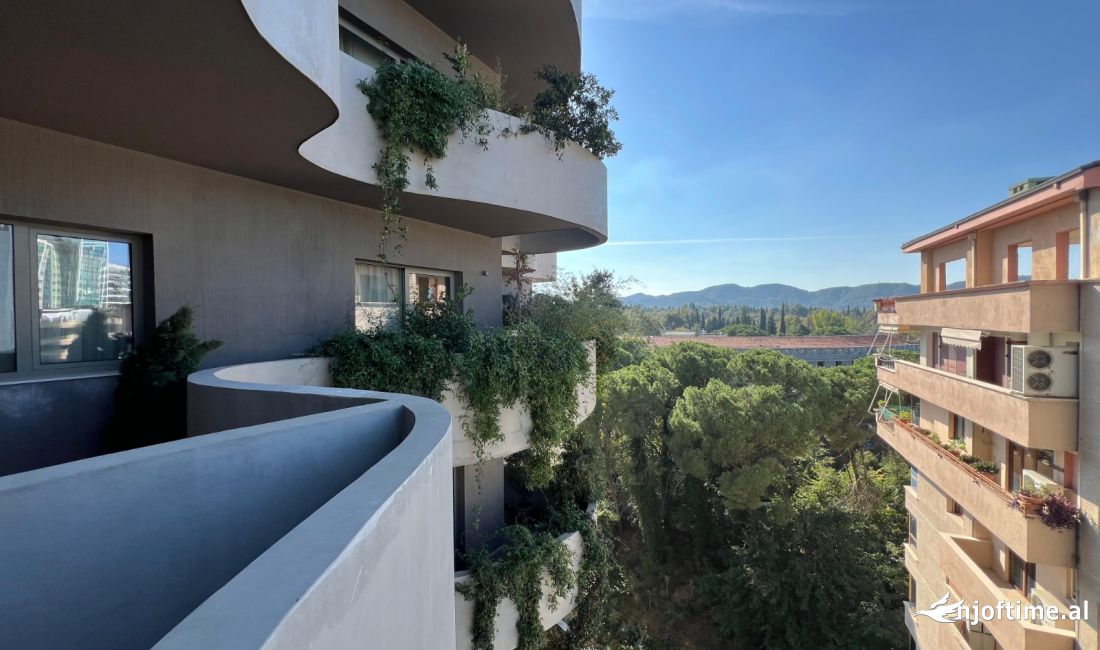 Zyre per Qira, Lion Patk 1