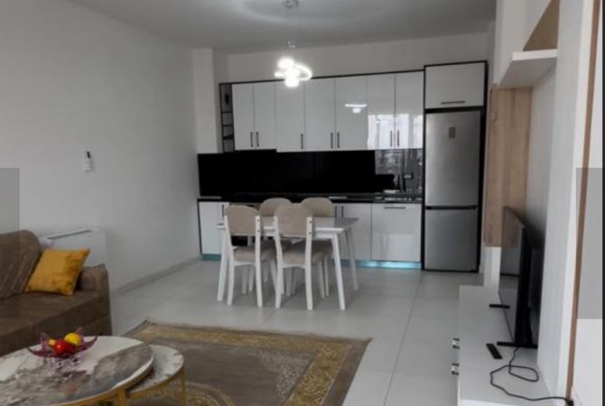 Shtepi me qera Apartament ne Tirane, 1+1, Mobilimi E mobiluar, Pagesa 400  Euro.