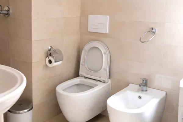 Shtepi me qera Apartament ne Tirane, 1+1, Mobilimi E mobiluar, Pagesa 500  Euro.