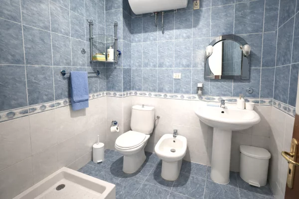 Shtepi me qera Apartament ne Tirane, 1+1, Mobilimi E mobiluar, Pagesa 45,000  Leke.