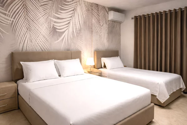 Shtepi me qera 1+1 ne Tirane - 50,000 Leke