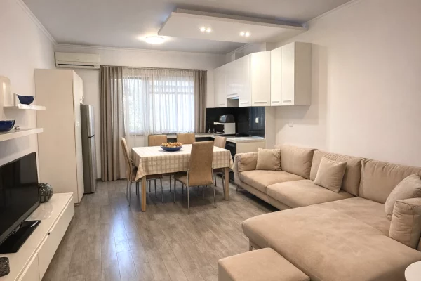 Shtepi me qera Apartament ne Tirane, 1+1, Mobilimi E mobiluar, Pagesa 50,000  Leke.
