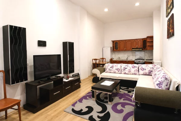 ✨ APARTAMENT 1+1 ME QIRA TEK FRESKU 