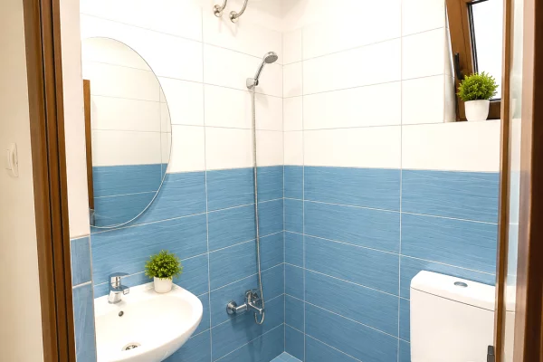 Shtepi me qera Apartament ne Tirane, 1+1, Mobilimi E mobiluar, Pagesa 30,000  Leke.