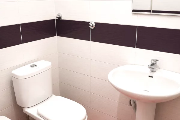 Shtepi me qera Apartament ne Tirane, 2+1, Mobilimi E mobiluar, Pagesa 45,000  Leke.