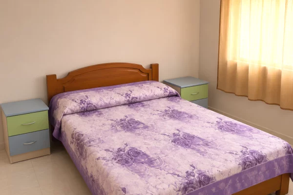 Shtepi me qera Apartament ne Tirane, 1+1, Mobilimi E mobiluar, Pagesa 30,000  Leke.