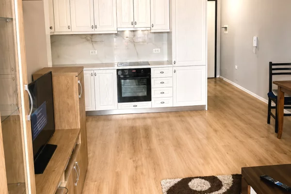 Shtepi me qera Apartament ne Tirane, 1+1, Mobilimi E mobiluar, Pagesa 50,000  Leke.