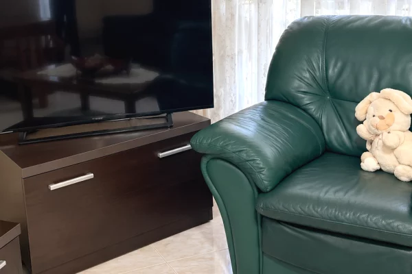 Shtepi me qera Apartament ne Tirane, 1+1, Mobilimi E mobiluar, Pagesa 40,000  Leke.