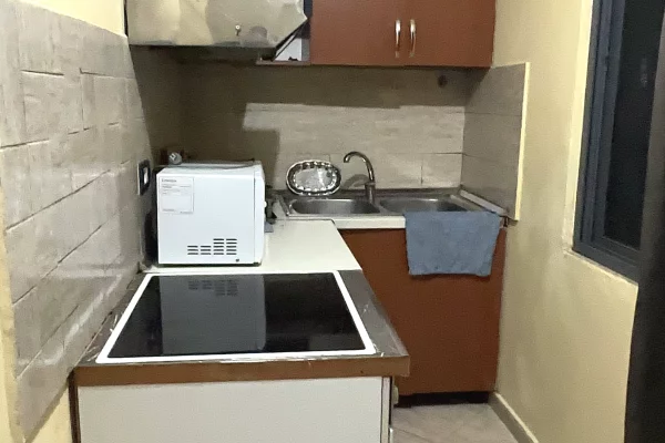 Shtepi me qera Apartament ne Tirane, 1+1, Mobilimi E mobiluar, Pagesa 30,000  Leke.