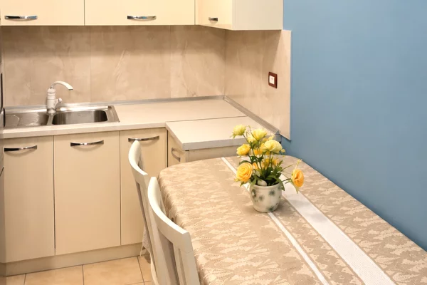 Shtepi me qera Apartament ne Tirane, 1+1, Mobilimi E mobiluar, Pagesa 45,000  Leke.