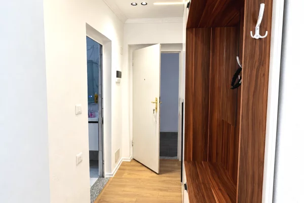 Apartment for rent in Tirana 1+1, Furnished