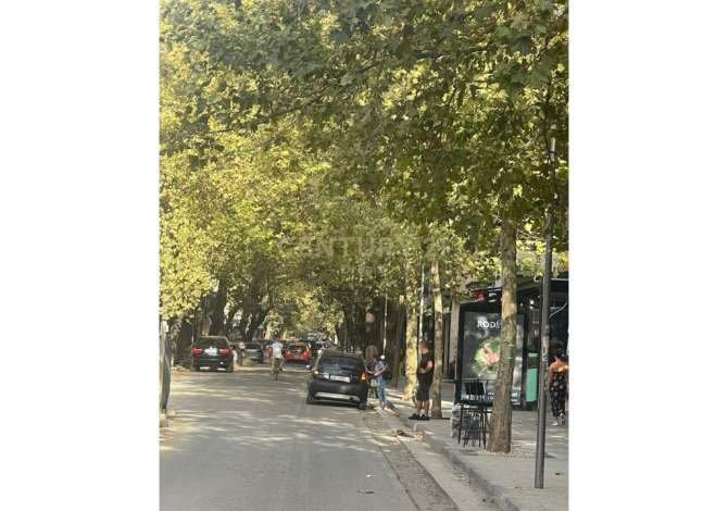 Ambient biznesi me qera 1+1 ne Tirane - 600 Euro