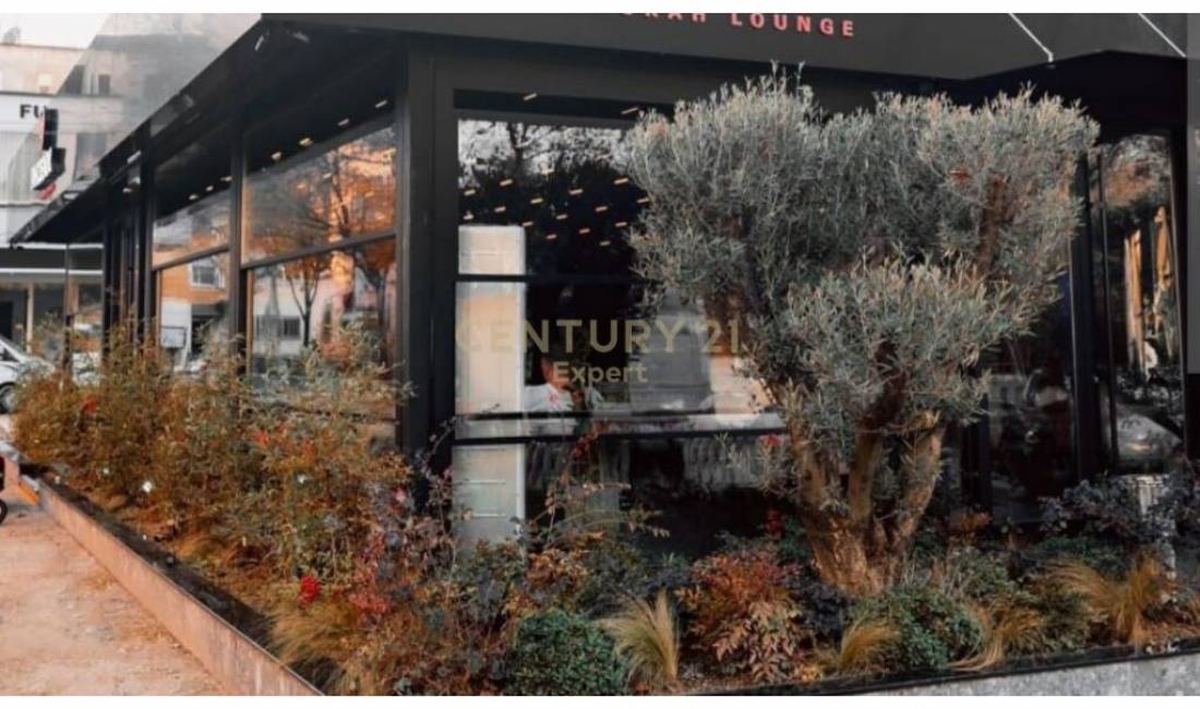 QIRA, AMBIENT BAR-LOUNGE, RRUGA MINE PEZA