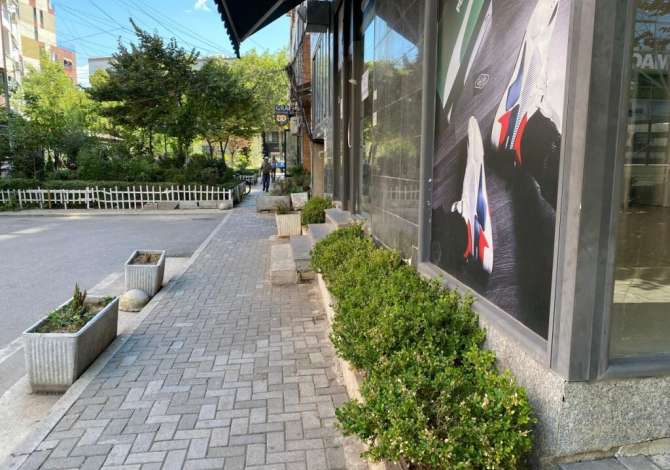 Ambient biznesi me qera 1+1 ne Tirane - 750 Euro