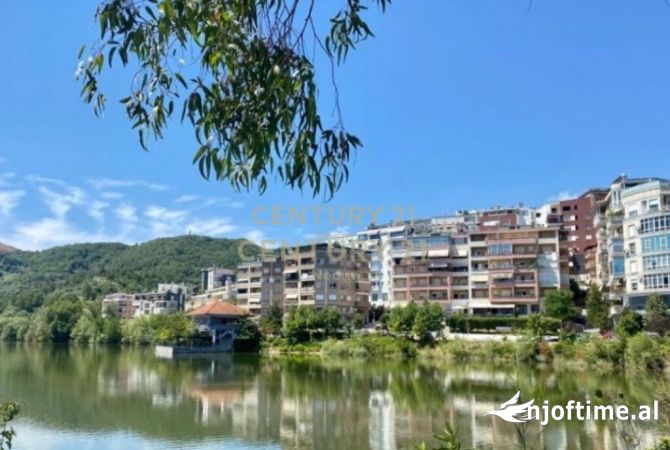 Ambiente Commerciale in Affitto 1+1 a Tirana - 3,700 Euro