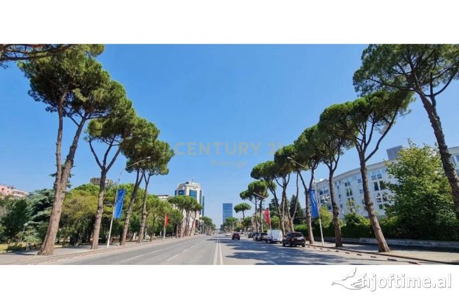 Ambiente Commerciale in Affitto 3+1 a Tirana - 4,720 Euro
