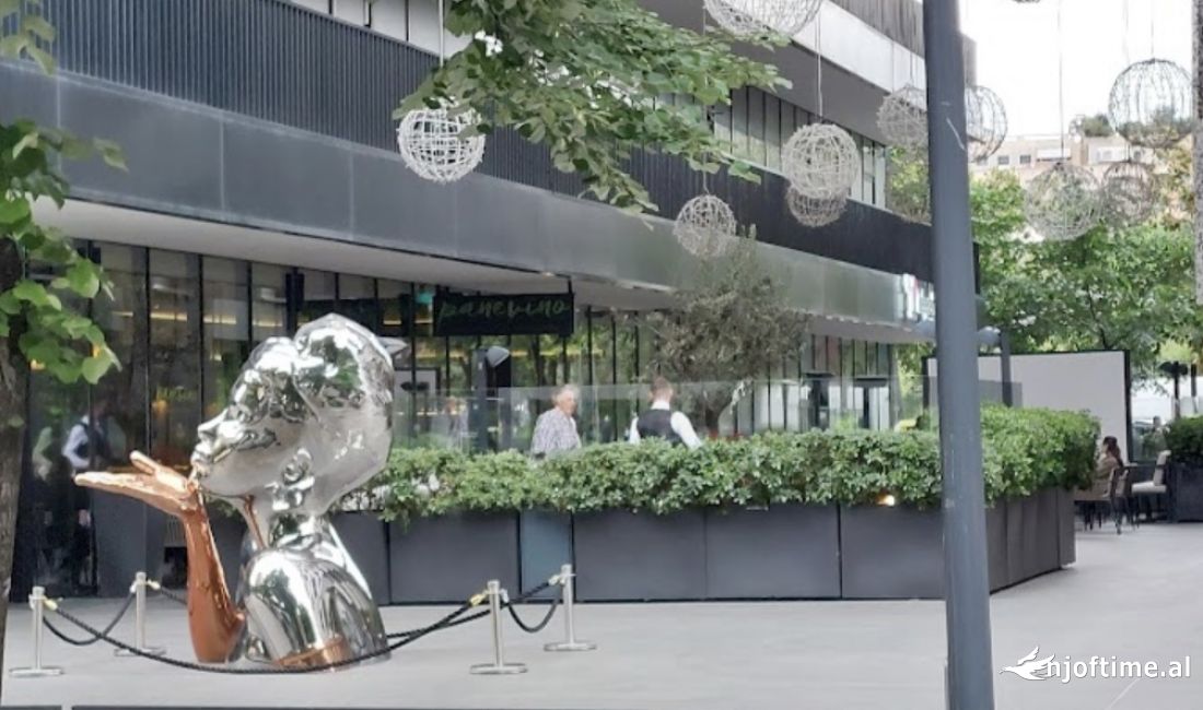 SHESIM AMBJENT KOMERCIAL NE QENDER