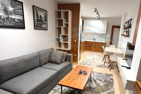 Apartment for rent in Tirana 1+1, Furnished