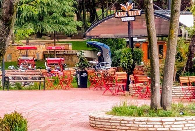 Job Offers for Dishwasher in Tirana