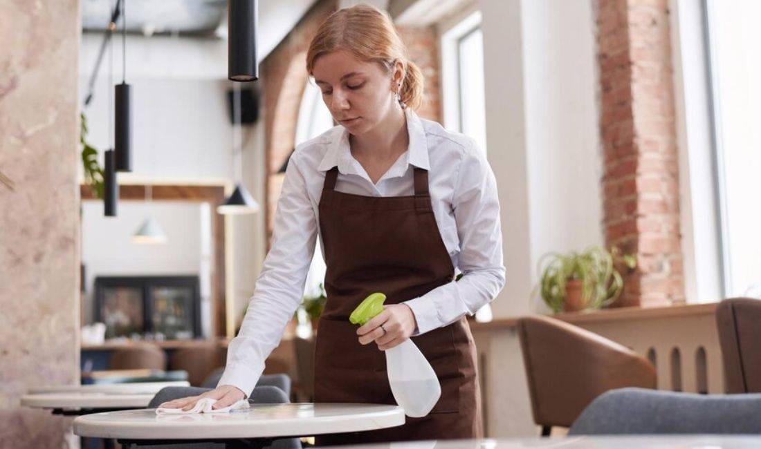 Job Offers in Tirana, Profession 	Pastruese dhe Shofer , Beginner/Little experience, Payment By Agreement.