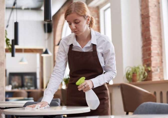 Job Offers for Pastruese dhe Shofer in Tirana