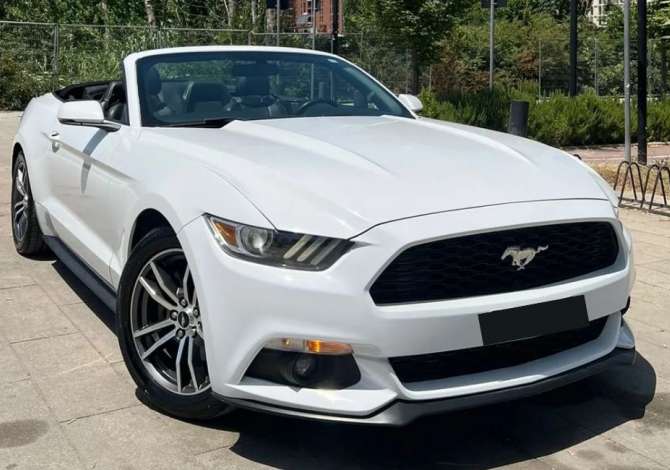 Car Rental in Tirana - 260 Euro