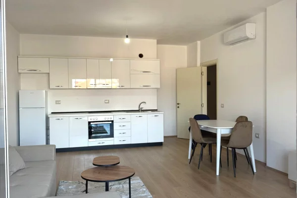 Shtepi me qera Apartament ne Tirane, 1+1, Mobilimi E mobiluar, Pagesa 500  Euro.