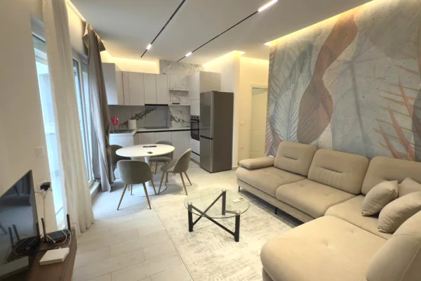 Shtepi me qera Apartament ne Tirane, 1+1, Mobilimi E mobiluar, Pagesa 650  Euro.