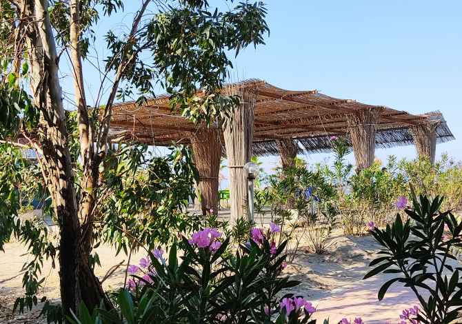 Business Property in Sale 2+1 in Kavaja - 100,000 Euro