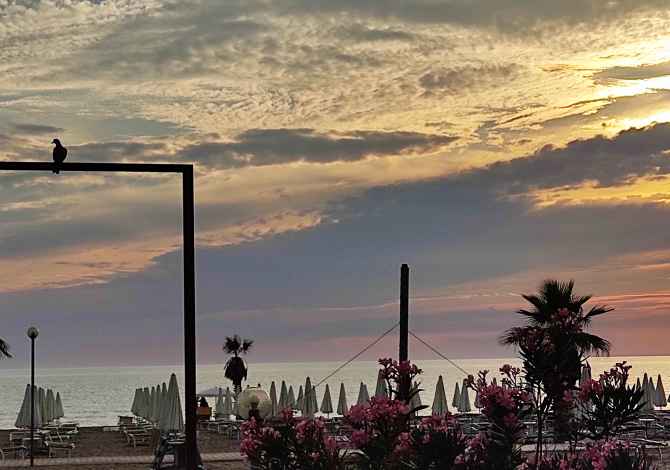 SHITET LOKAL NE PLAZHIN E SPILLESE