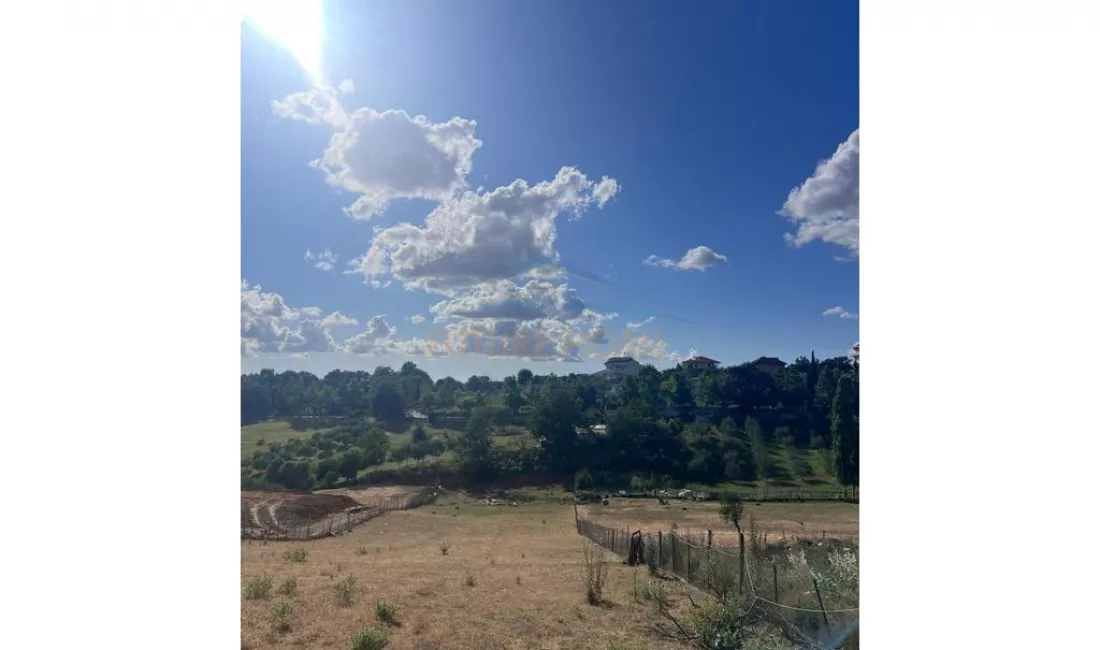 Shitet, Toke, Farke, 2700 m2, 350.000 Euro