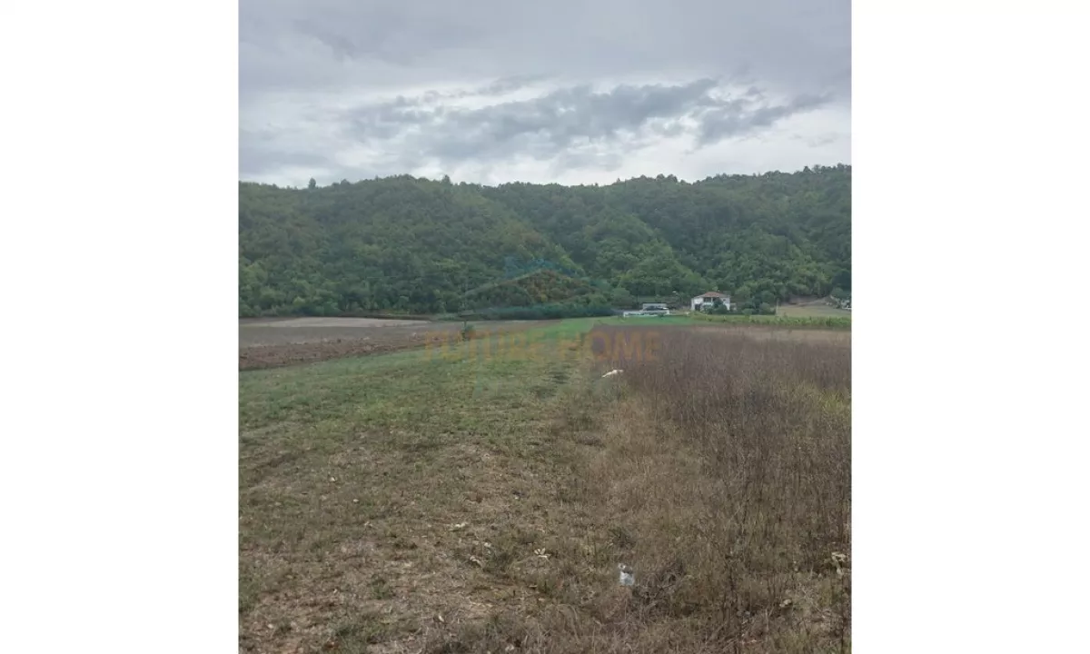 Shitet, Toke, Baldushk, Tirane.