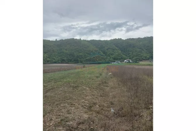 Truall ose Toke ne Tirane - 438,000 Euro