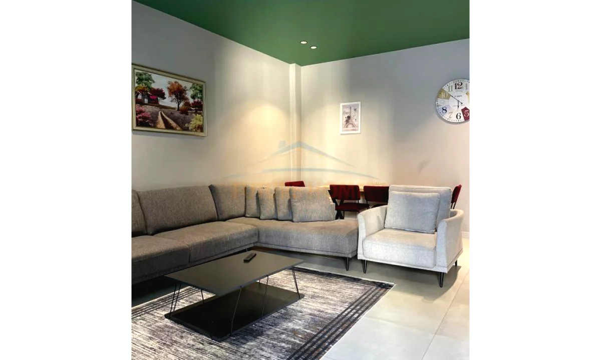 Shtepi me qera Apartament ne Tirane, 1+1, Mobilimi E mobiluar, Pagesa 500  Euro.