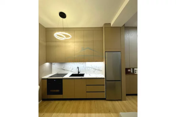 Shtepi me qera Apartament ne Tirane, 1+1, Mobilimi E mobiluar, Pagesa 550  Euro.