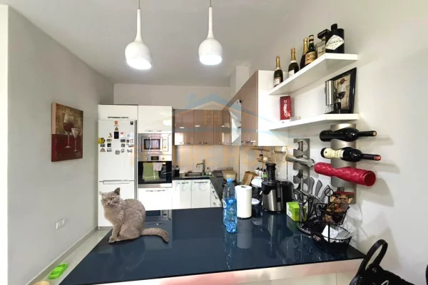 Shtepi ne shitje Apartament ne Tirane, 1+1, Mobilimi E mobiluar, Pagesa 119,000  Euro.