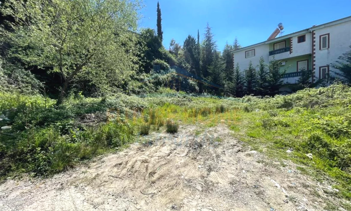 Shitet, Toke, Vilat Gjermane, Tirane.