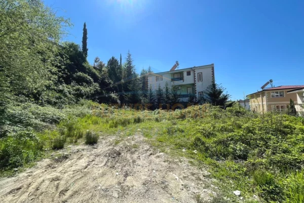 Truall ose Toke ne Tirane - 150,000 Euro