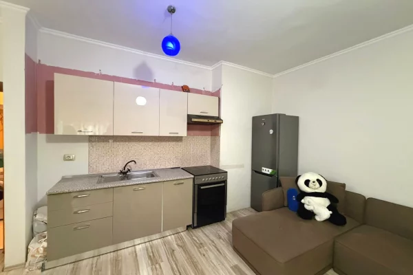 Shtepi ne shitje Apartament ne Tirane, 1+1, Mobilimi E mobiluar, Pagesa 130,000  Euro.