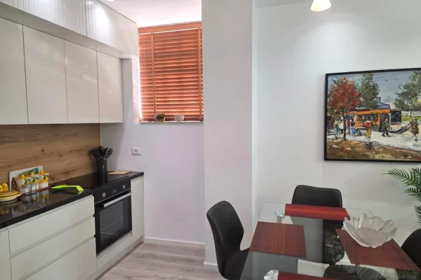 House for Rent Apartment in Tirana, 1+1, Furniture Furnished, Payment 1,100  Euro.