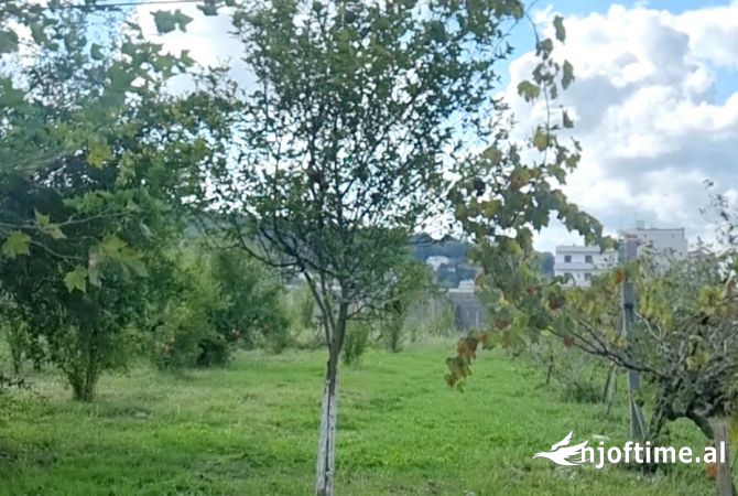 OKAZION! SHITET TOKE + 2 VILA NE ZONEN E KOMBINATIT