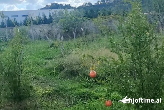 OKAZION! SHITET TOKE + 2 VILA NE ZONEN E KOMBINATIT