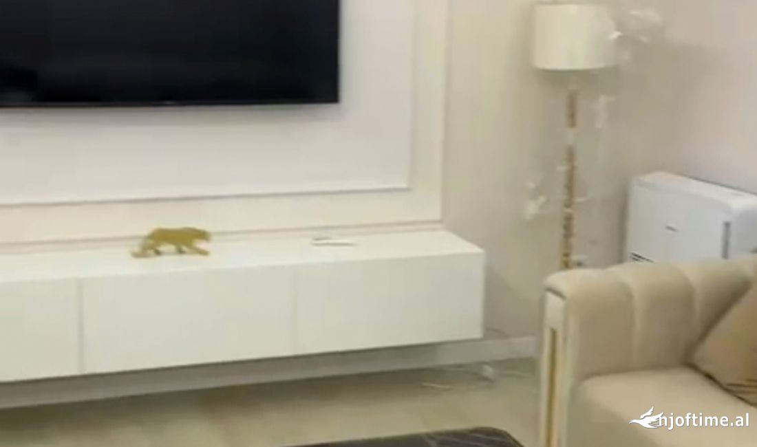 Shtepi me qera Apartament ne Tirane, 2+1, Mobilimi E mobiluar, Pagesa 550  Euro.