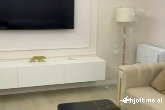 SUPER APARTAMENT ME QERA NE ASTIR